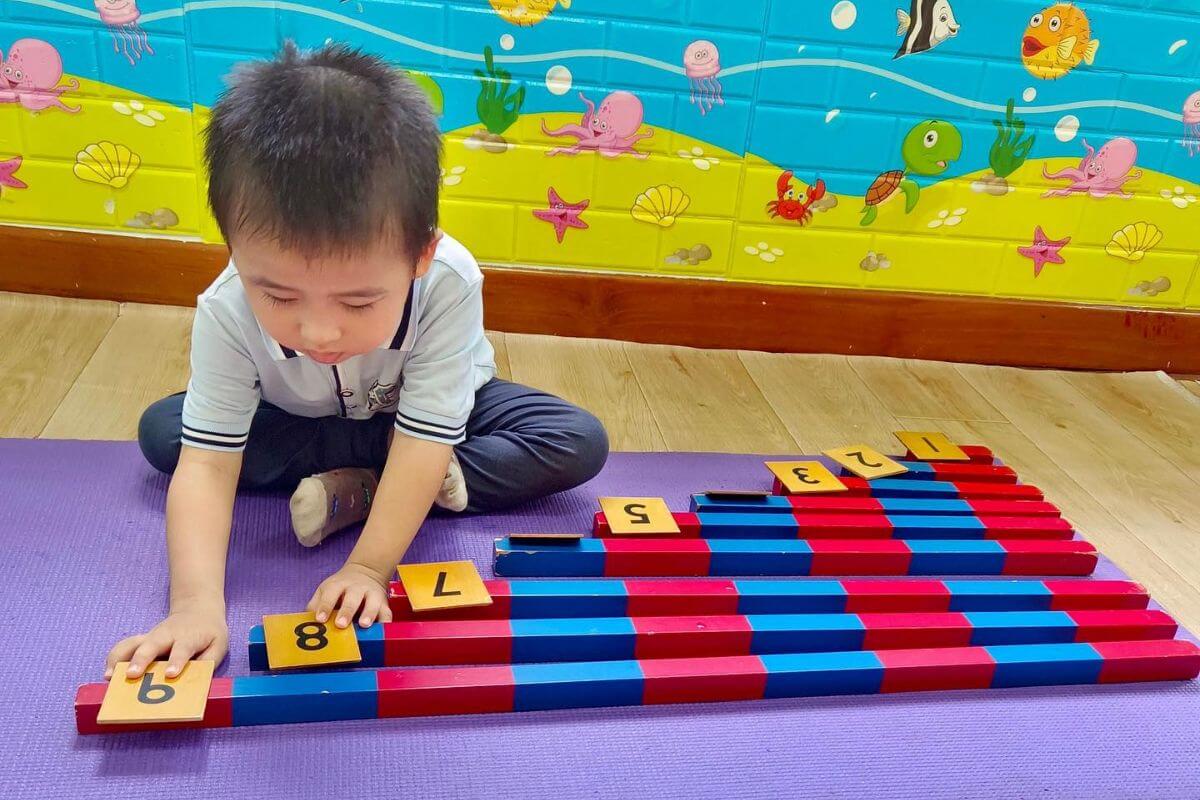 Montessori School – Cultivating life-long learners who forge a