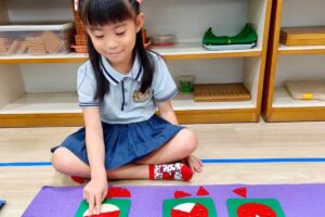 A young girl engaging with Montessori fraction circles, demonstrating fractions visually, in a well-organised Montessori classroom at Starshine Montessori.