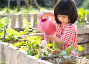 A young girl in a red and white checkered dress carefully watering plants in a garden using a pink watering can. The garden is surrounded by wooden fencing, showcasing a nurturing outdoor learning activity.