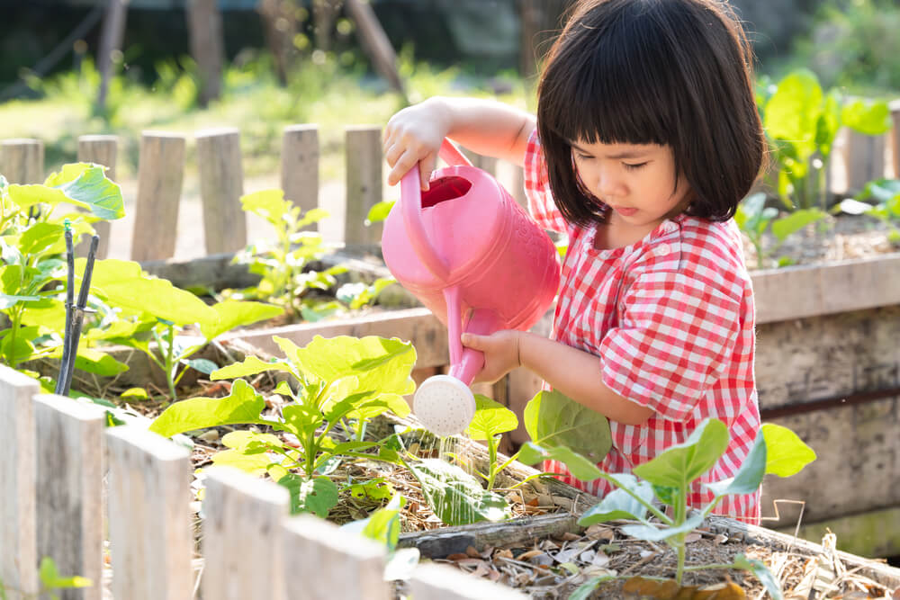 A young girl in a red and white checkered dress carefully watering plants in a garden using a pink watering can. The garden is surrounded by wooden fencing, showcasing a nurturing outdoor learning activity.