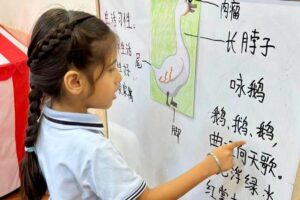 A young child pointing at a whiteboard during a Montessori Chinese lesson, engaging with labeled diagrams and characters, fostering language learning and comprehension skills at Starshine Montessori.